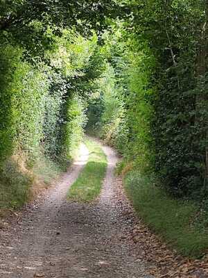 Photo prise liée au parcours