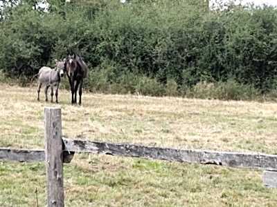 Photo prise liée au parcours