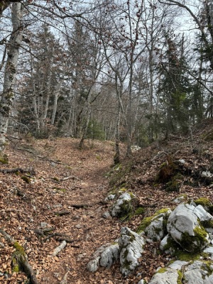 [Bornes] Monts Veyrier et Baron depuis Annecy - Annecy - Photo 2