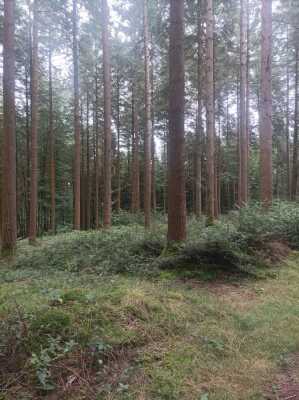 Photo prise liée au parcours