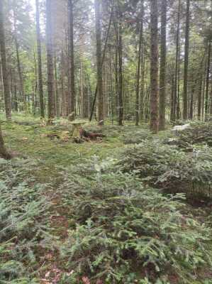 Photo prise liée au parcours