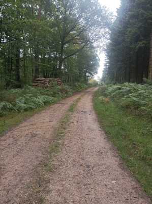 Photo prise liée au parcours