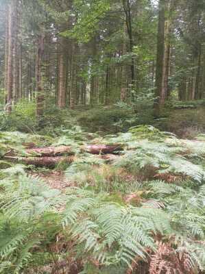 Photo prise liée au parcours