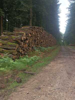 Photo prise liée au parcours