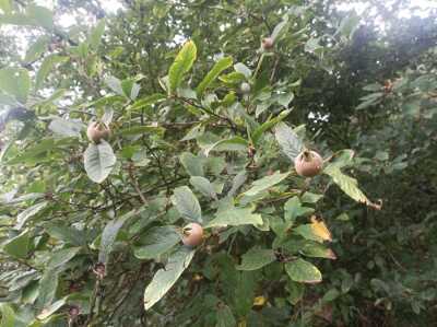 Photo prise liée au parcours