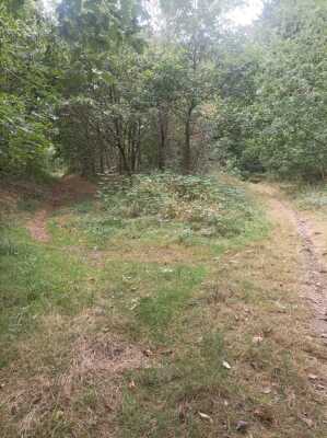 Photo prise liée au parcours