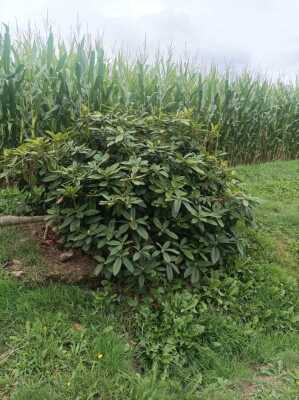 Photo prise liée au parcours