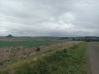 Photo prise liée au parcours