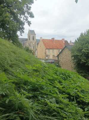 Photo prise liée au parcours