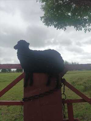 Photo prise liée au parcours