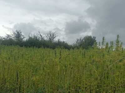 Photo prise liée au parcours