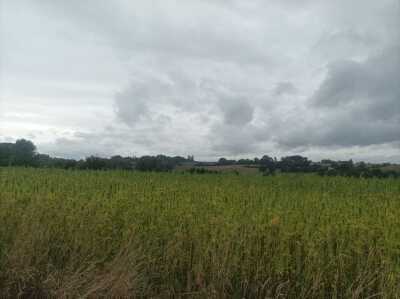 Photo prise liée au parcours