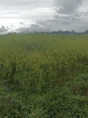 Photo prise liée au parcours