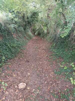 Photo prise liée au parcours