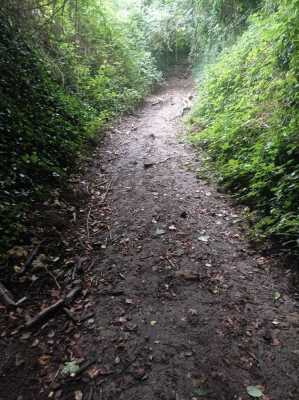 Photo prise liée au parcours