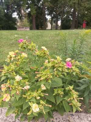 Photo prise liée au parcours