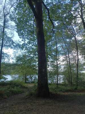 Photo prise liée au parcours