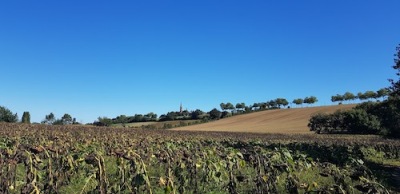 Photo prise liée au parcours
