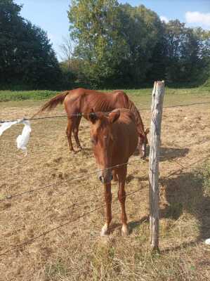 Photo prise liée au parcours