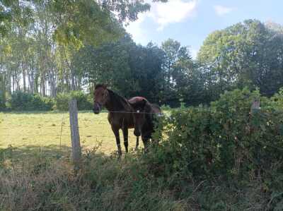 Photo prise liée au parcours