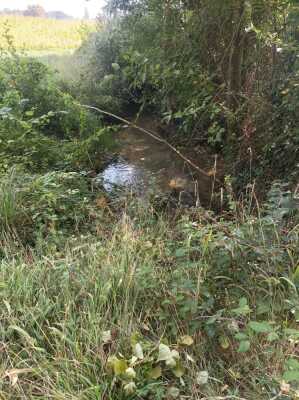 Photo prise liée au parcours