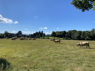 Photo prise liée au parcours