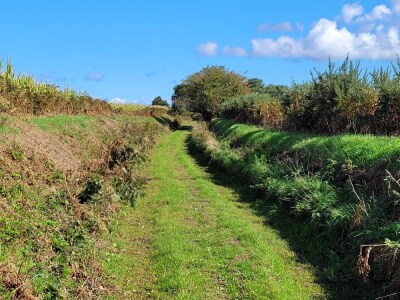 09 oct 2024 PLEUDANIEL