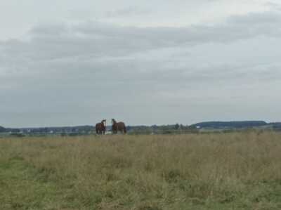 Photo prise liée au parcours