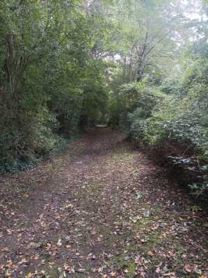 Photo prise liée au parcours