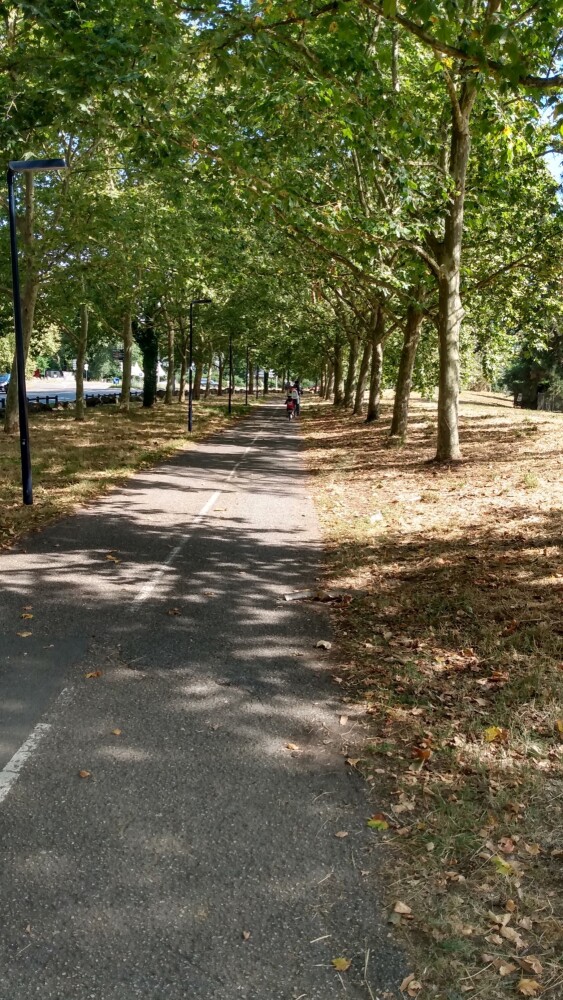 La piste cyclable de l'Allée de Boutaut, près de Bordeaux-Lac, l'été.
