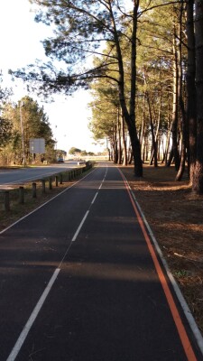 La piste cyclable de l'itinéraire 3 du ReVE à Bordeaux-Lac.