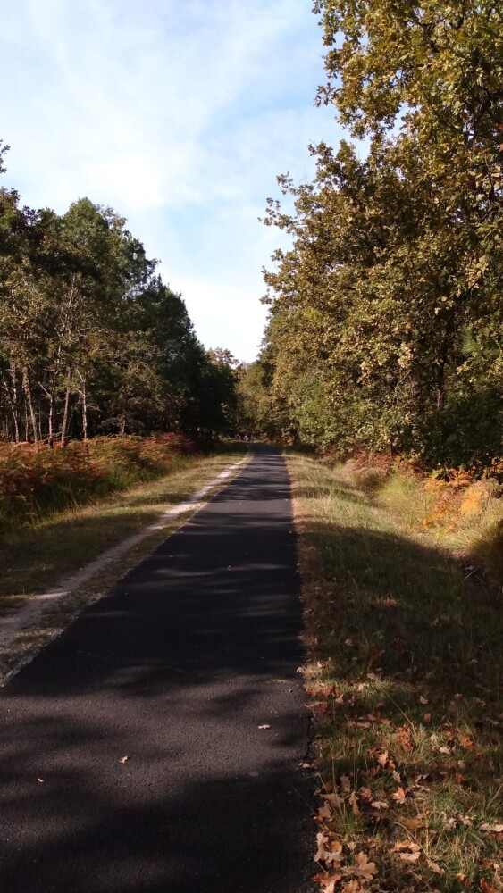 La piste cyclable 801 Bordeaux - Lacanau-Océan près de Salaunes.