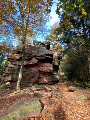 Engenthal parcours du 24/10/2024