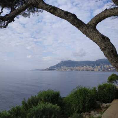 Enregistrement du 24/10/2024