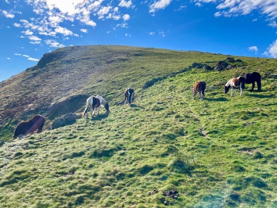 Pic d'Iparla - amphithéâtre de Gapelu