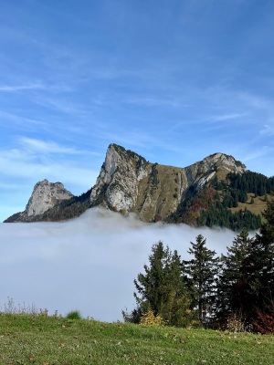 [Bornes] Le Lanfonnet et La Roche Murraz - Talloires-Montmin - Photo 8
