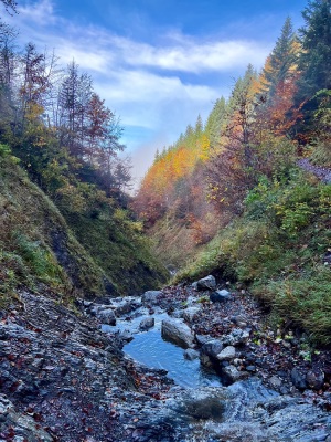 [Bornes] Le Lanfonnet et La Roche Murraz - Talloires-Montmin - Photo 9