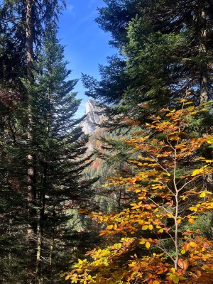 [Bornes] Le Lanfonnet et La Roche Murraz - Talloires-Montmin - Photo 7