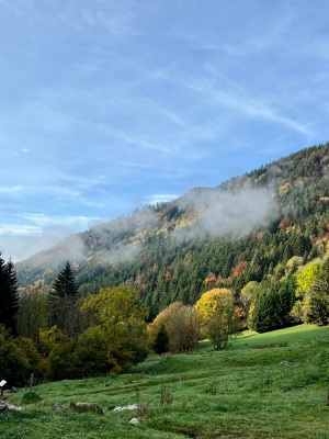 [Bornes] Le Lanfonnet et La Roche Murraz - Talloires-Montmin - Photo 5
