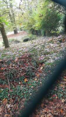 Milon la chapelle 18km 290+