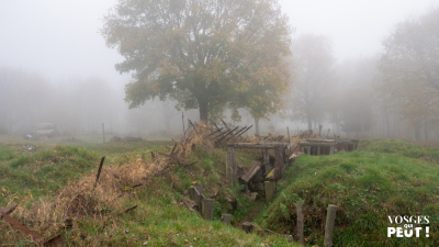 Wattwiller - Hartamannwillerkopf - Molkenrain - Wattwiller - Photo 6