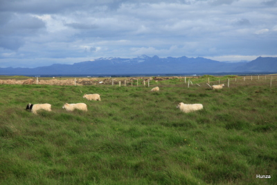 Photo prise liée au parcours