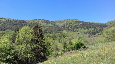Photo prise liée au parcours