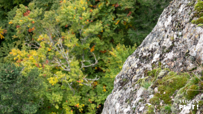 Photo prise liée au parcours