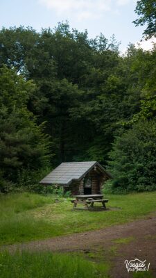 Grand Ballon et abbaye de Murbach - Guebwiller - Photo 5