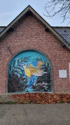 Bords de Lys 30/11/2024