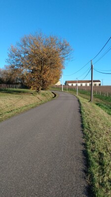 La petite route au bord des vignes que vous emprunterez entre Beychac-et-Caillau et Saint-Germain-de-Puch.