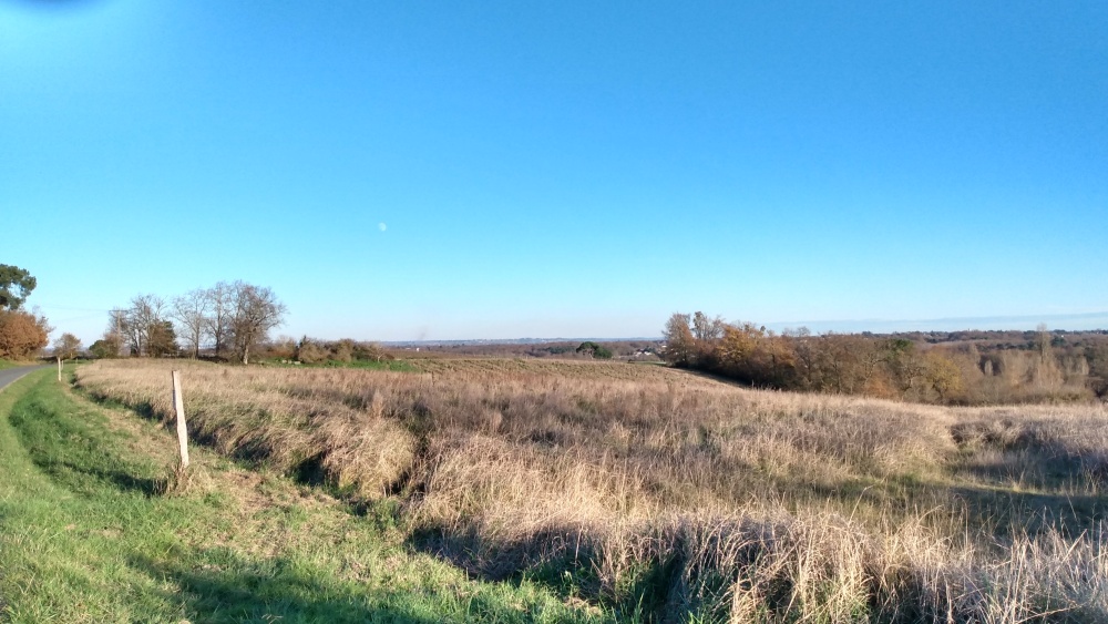 La vue sur la campagne en direction du Libournais près de Beychac-et-Caillau, lors d'une belle journée d'hiver.