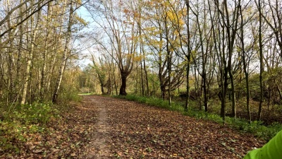Photo prise liée au parcours