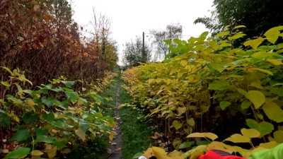 Photo prise liée au parcours